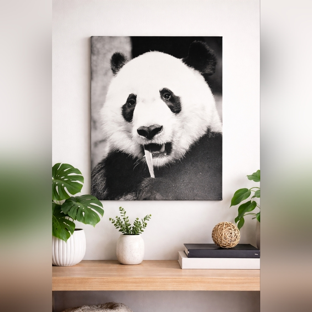 Panda Wildlife Photography Canvas Wall Art 24x18 Black & White Animal Print
